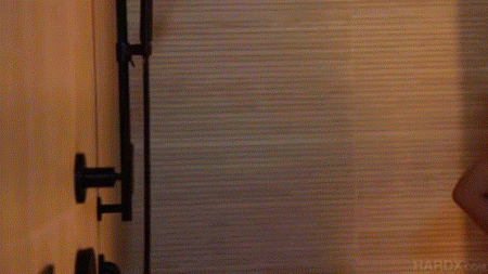 555.gif