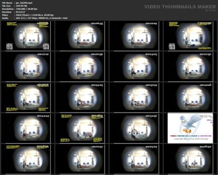 ipc_02298.mp4.jpg