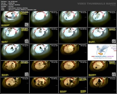 ipc_02300.mp4.jpg